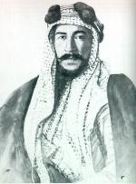 أسد الجزيره