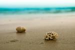 شواطئ الكويت Kuwait - Beach By: Alexy Louis 