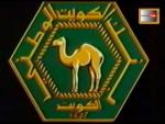 شعار البنك الوطني القديم 