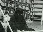 Picture of Badia women