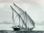 Old Dhow