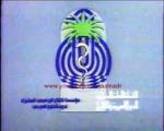 سلامتك - الغداء المتوازن