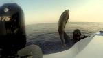 Spearfishing in kuwait - its the last time i use spearguns