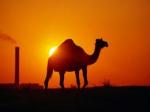 Kuwait in the Evening